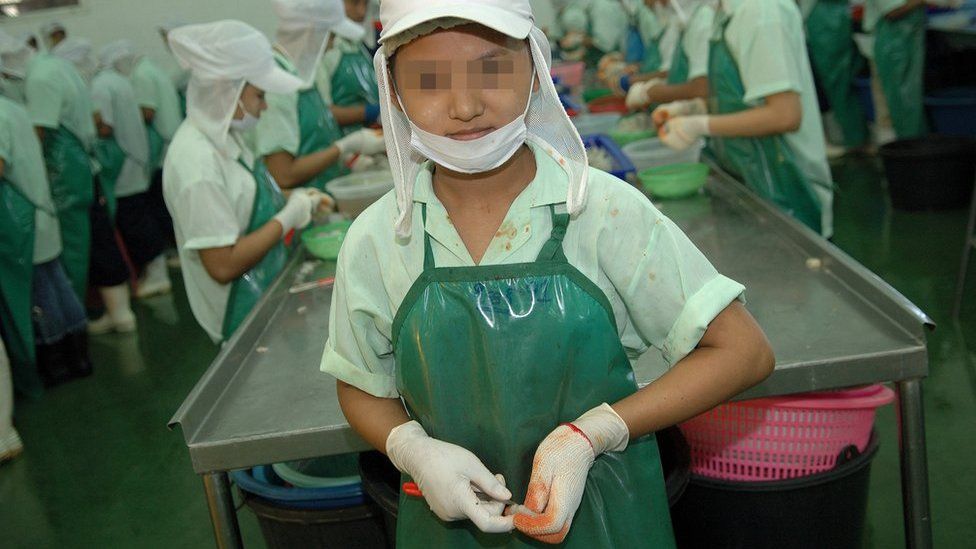 Sun, 15, a Burmese migrant girl, working in a Thai shrimp peeling plant.