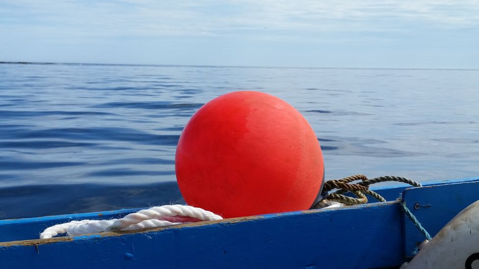 Fishing buoy