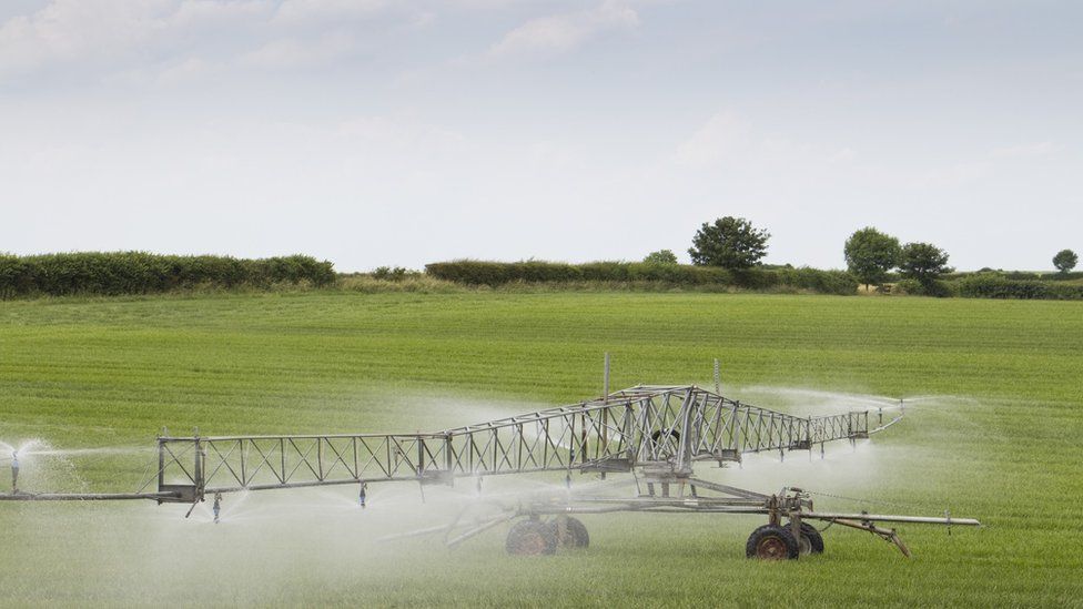 Irrigation of grassland in Lincolnshire