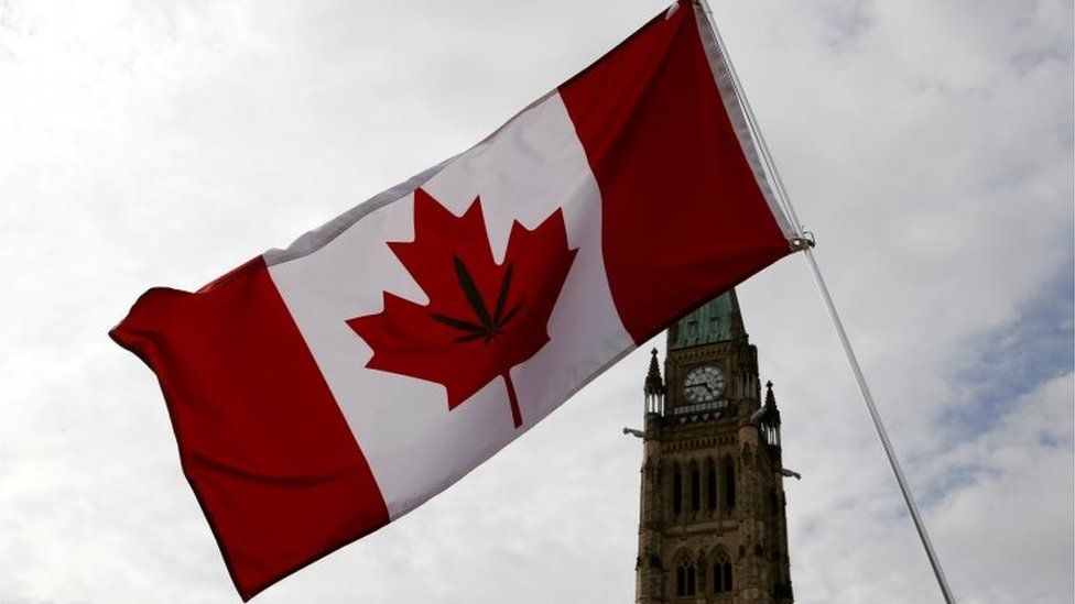 A Canadian flag with a marijuana leaf on it.