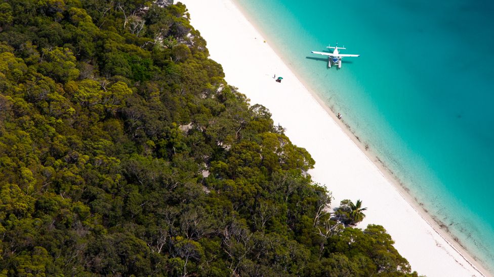 A sea plane beside a tropical beach