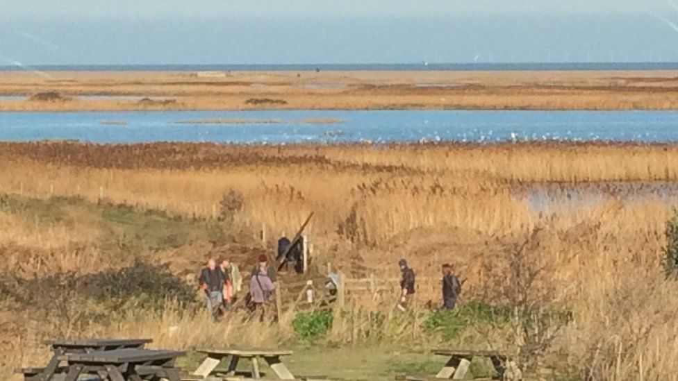 Cley Marshes, Norfolk