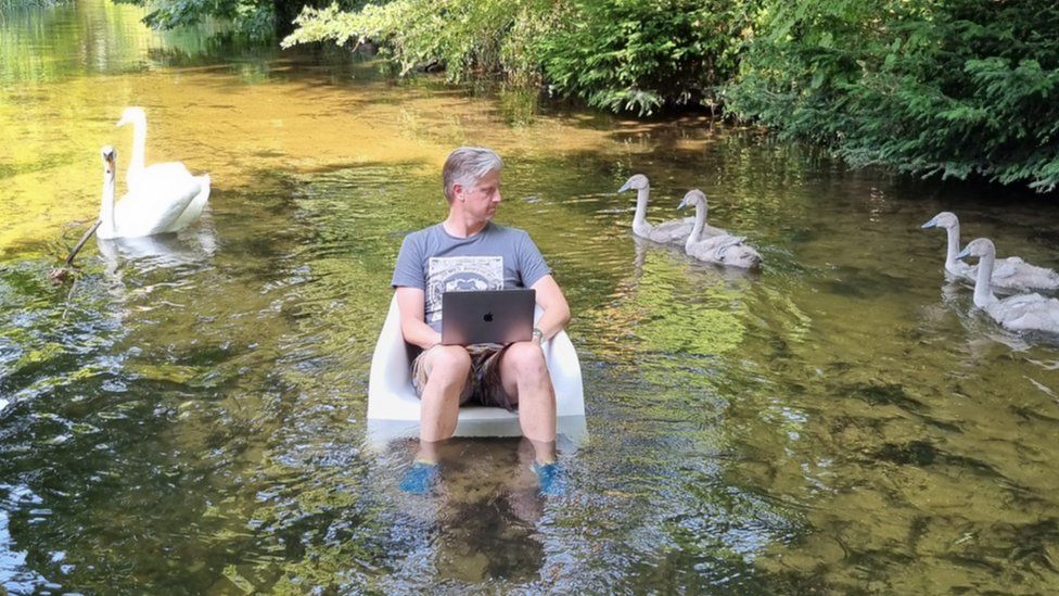 Patrick Wimble sitting on a chair in a river on a laptop surrounded by swans