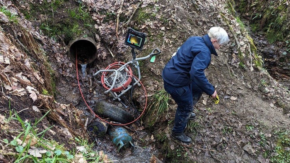 Leeds dog rescuers to be nominated for RSPCA award BBC News