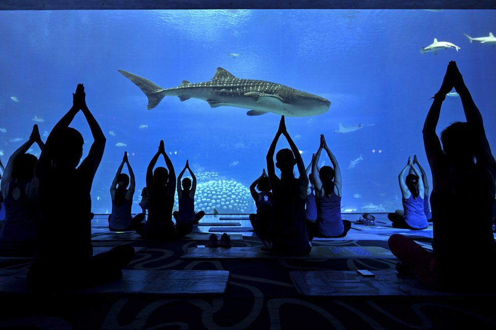Women perform yoga at Zhuhai Chimelong Ocean Kingdom to celebrate Mother's Day on May 9, 2021 in Zhuhai, Guangdong Province of China.