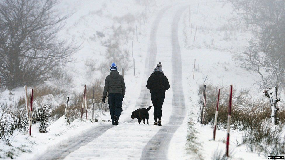 Dog walkers in the snow