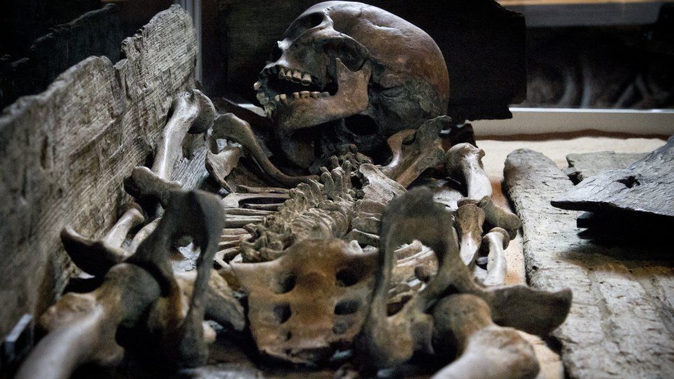 Skeleton of a Viking woman found in York