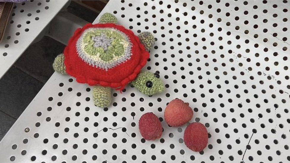 MR Kibble's crocheted tortoise and some lychees packed by his wife