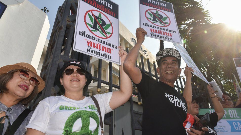 Thai campaigners calling for a lift on the ban medicinal cannabis, during a November protest in Bangkok