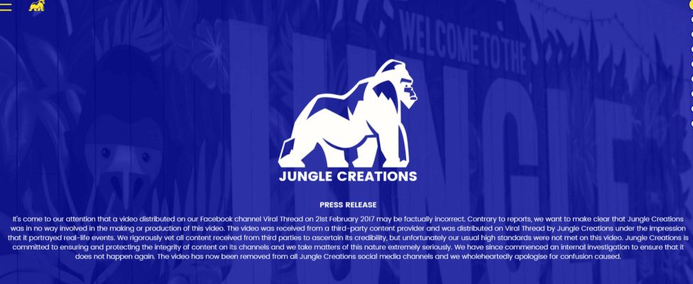 Jungle Creations