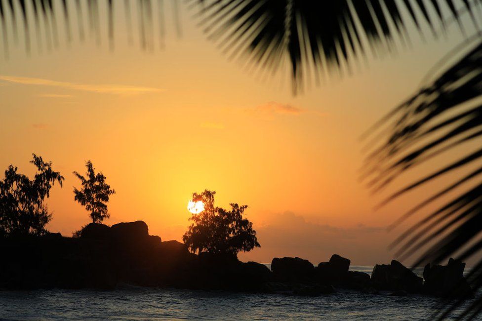 Sunset it seen through the trees, by the coast.