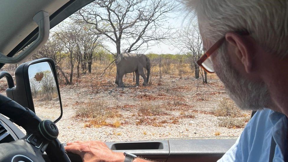 Guy meets an elephant