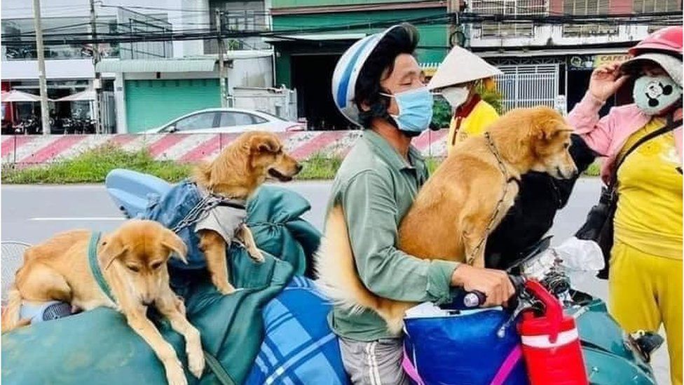 The couple on their motorbike