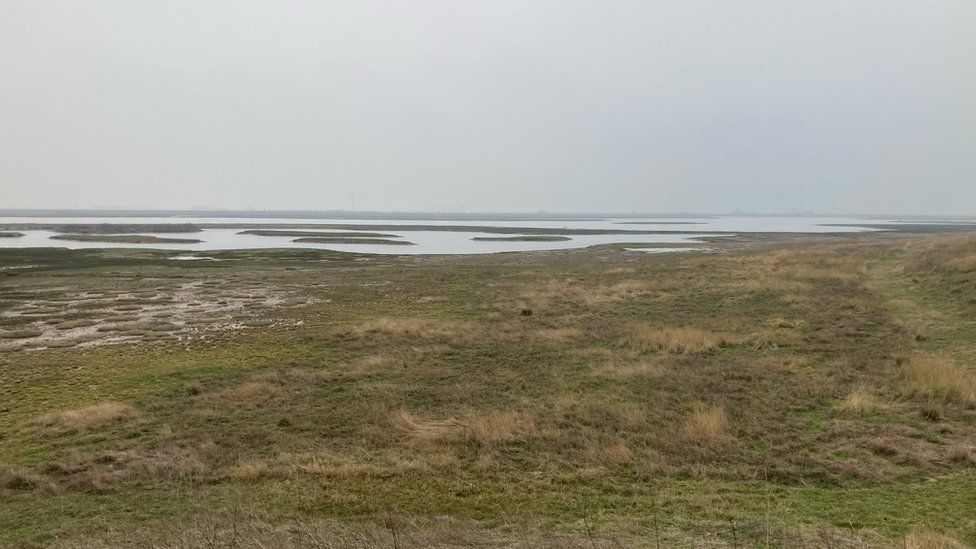 RSPB Wallasea landscape