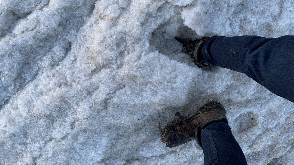 Frozen sea foam at Berrow Beach in North Somerset