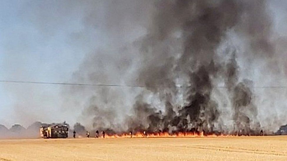 A field fire in Wickham Bishops, Essex