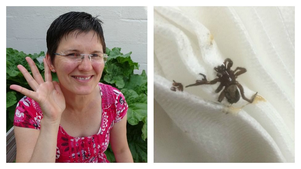 Victoria Price a spider