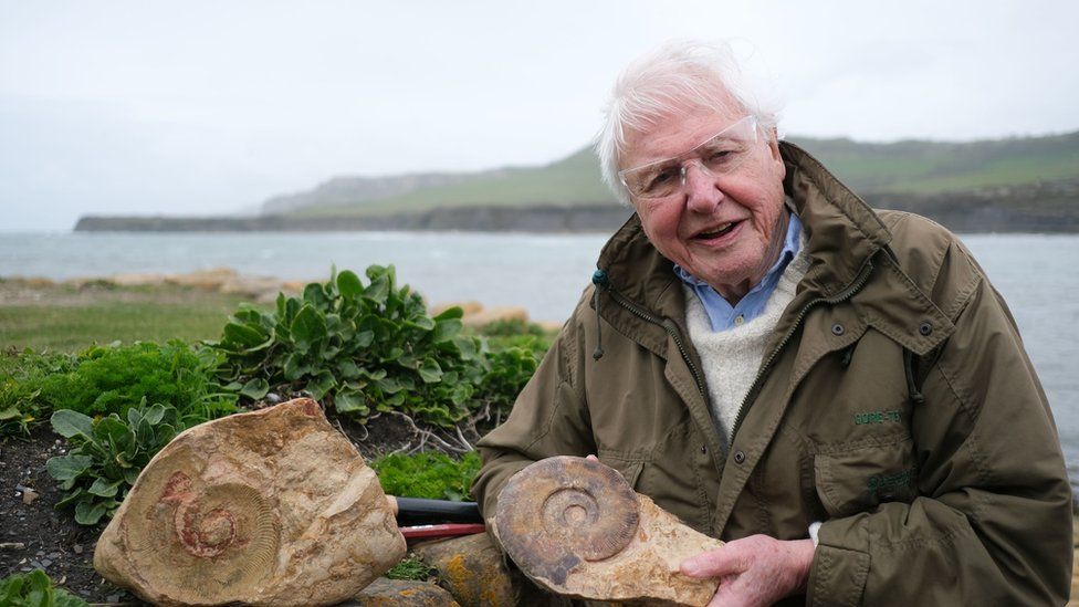 David Attenborough holding fossil