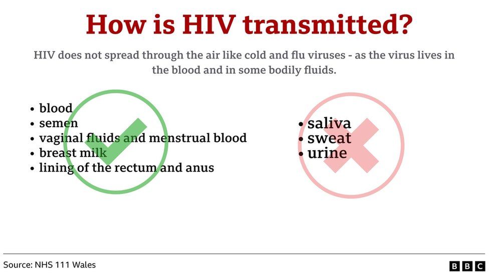 How is HIV transmitted graphic