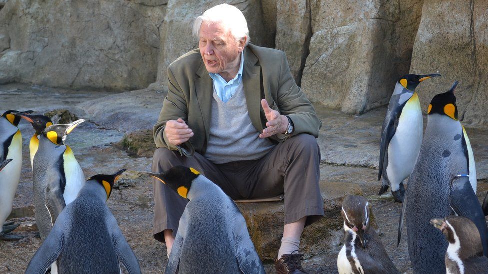 Sir David Attenborough met spike front left