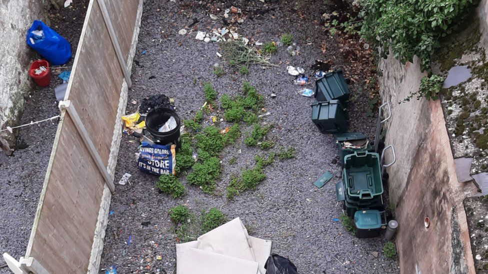 The garden had "rubbish" and "dog excrement" in it when the family moved in