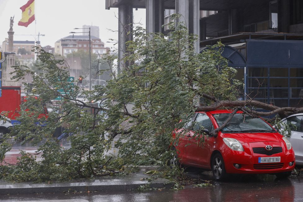 A view of cars damaged by a fallen tree due to heavy gusts of wind in a street of downtown Madrid, Spain, 02 November 2023.