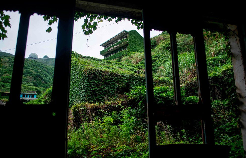 Abandoned village houses covered with overgrown vegetation in Houtouwan on Shengshan island