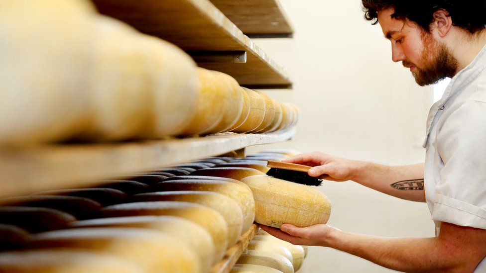 UK cheese maker
