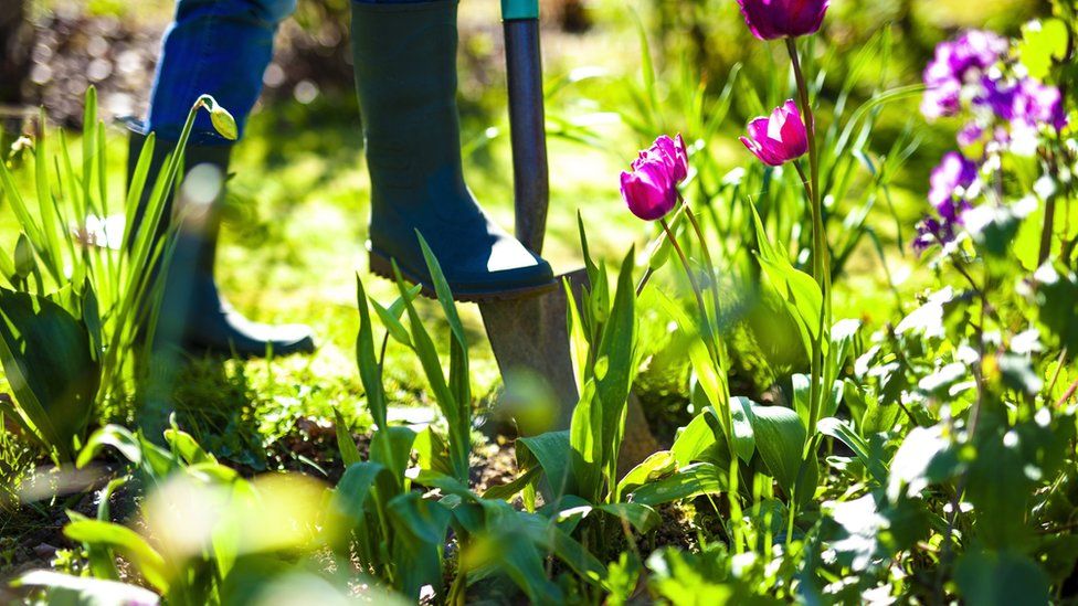 Person in garden in wellington boots using a spade to dig a flowerbed