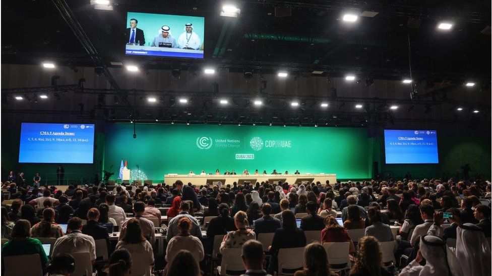 Plenary session at COP28