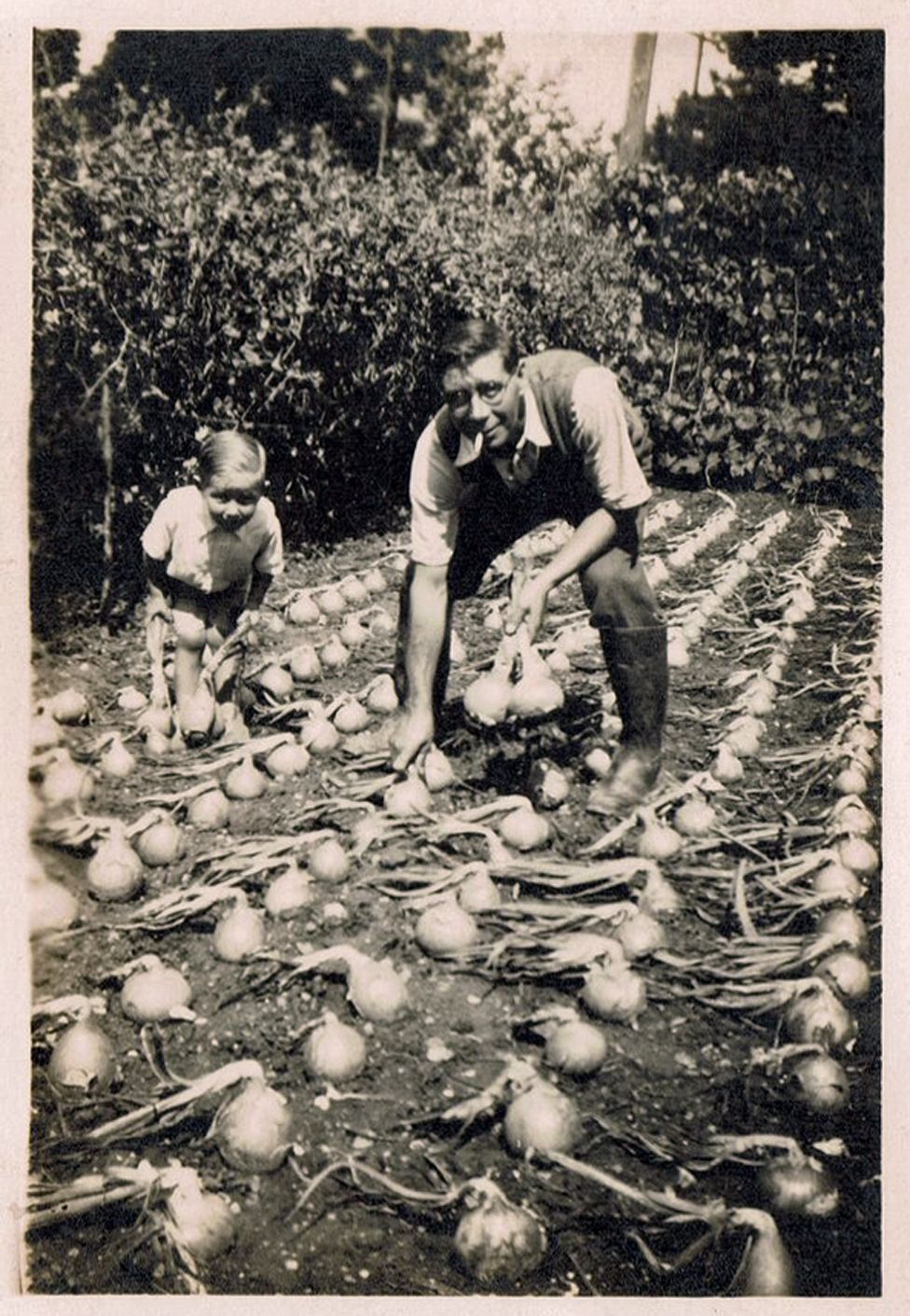 Clifford Staker and son Roger in an onion patch
