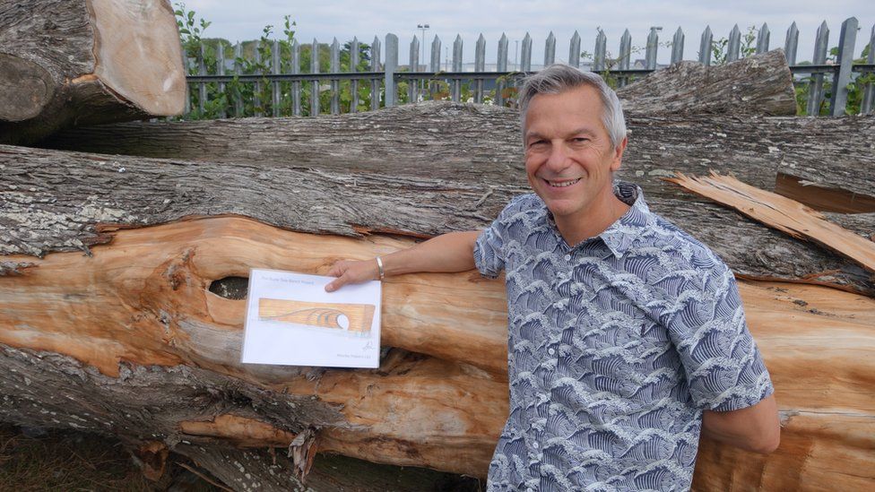 Benches made from iconic tree in Bude unveiled BBC News