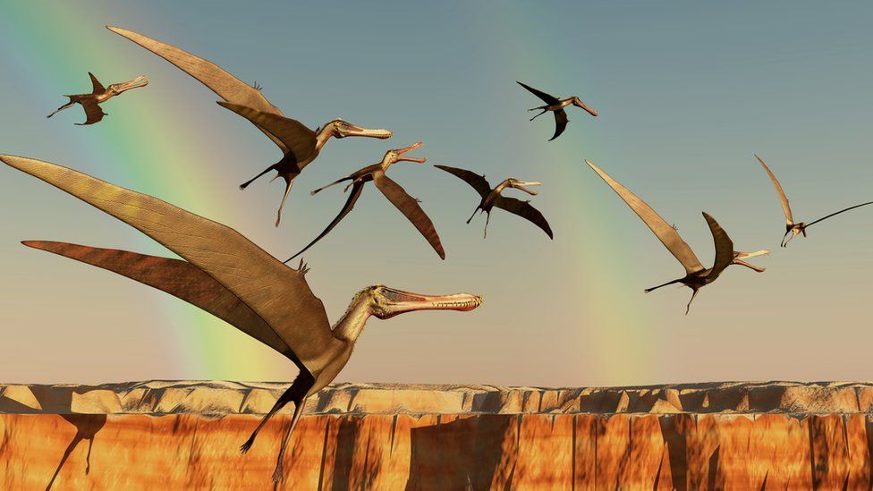 Pterosaurs.