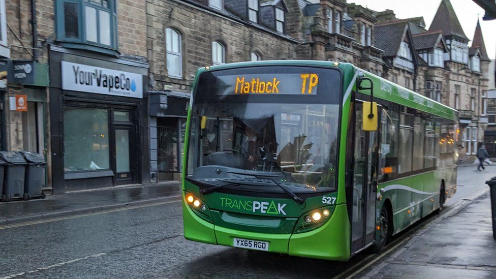 Can I Take My Dog On A Bus? What To Know