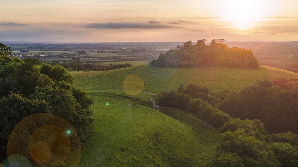 Wittenham Clumps