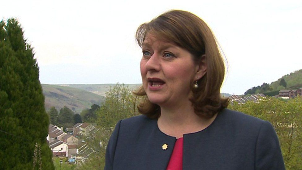 Vote Plaid Cymru for successful Brexit, says Leanne Wood - BBC News
