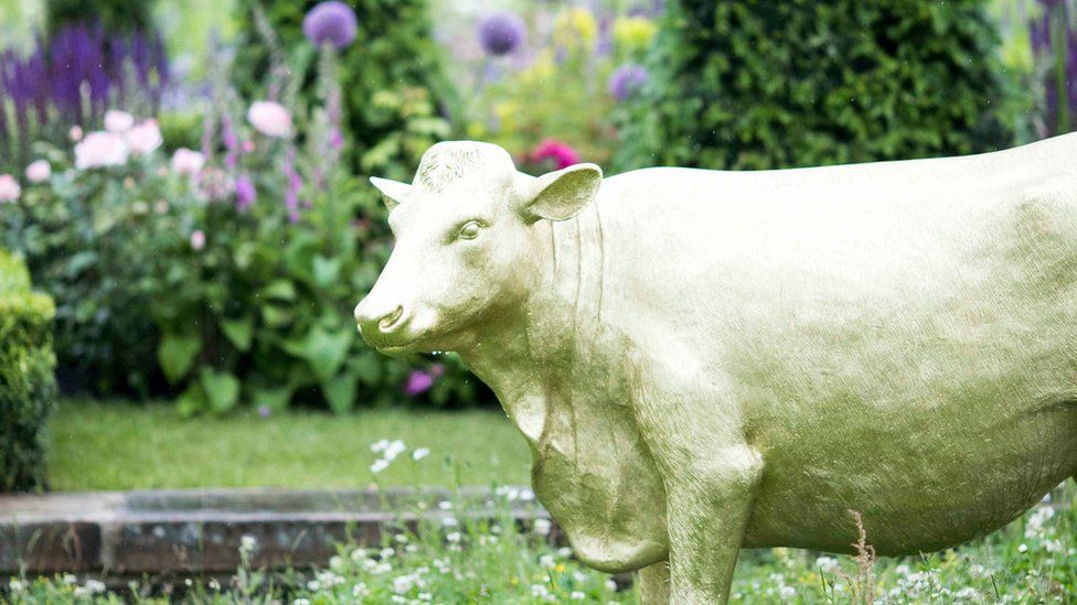 Cow in a garden at Chatsworth