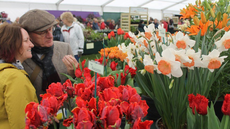 Alan a Margaret o Sir Caer yn trafod blodau wedi eu hudo i Gymru i weld y blodau // Anne and Margaret from Cheshire discussing the tulips.