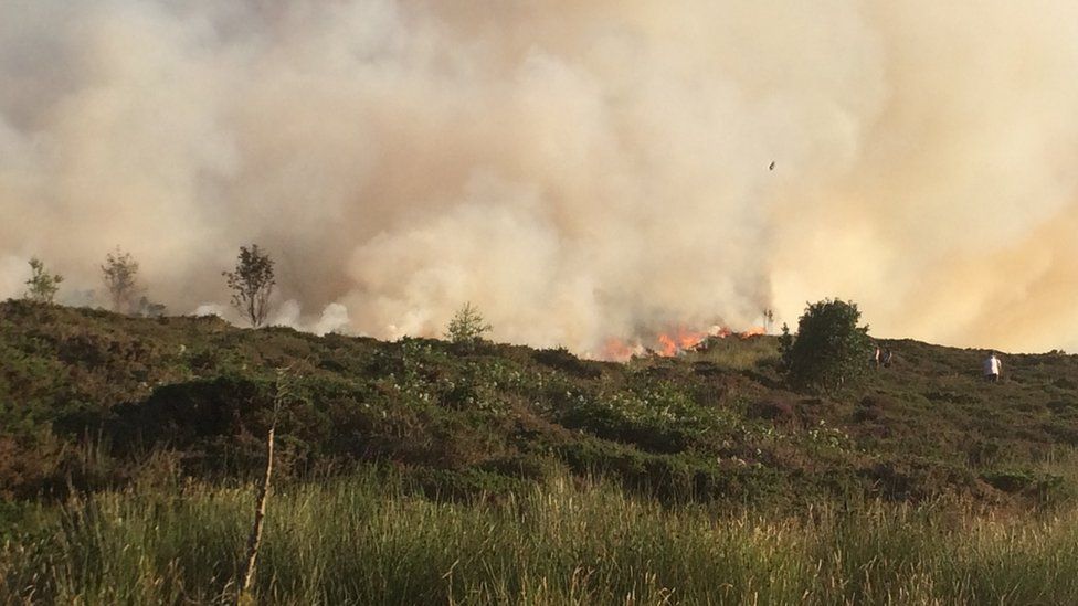 Gorse fire at Carmel, Gwynedd