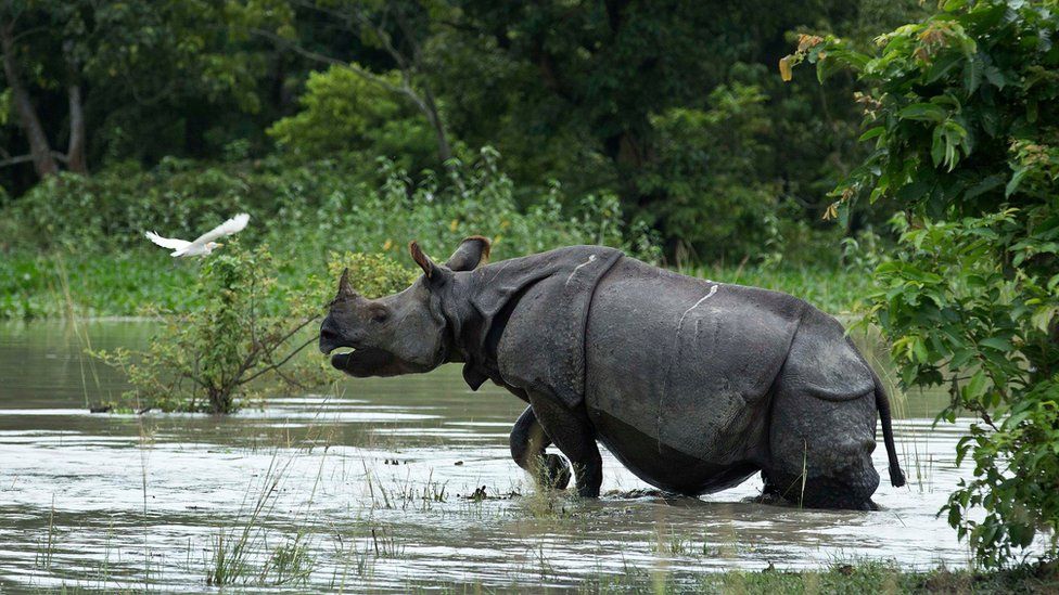 Over 100 Dead In South Asia Monsoon Flooding - Bbc News