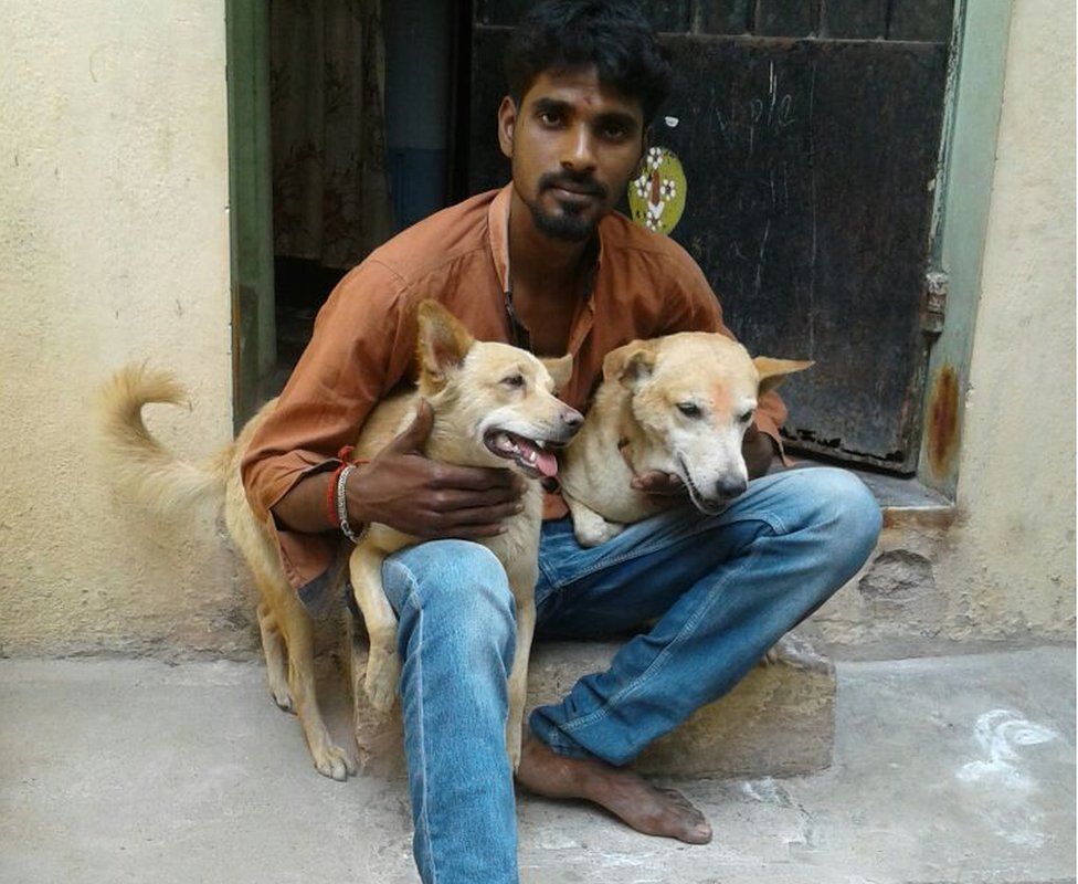 S Raman with the dogs