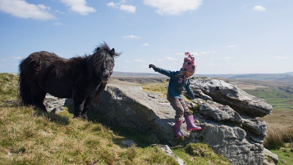 Young girl jumps from rocks near horse