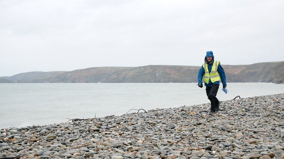 Brian Burnie walking on a shoreline