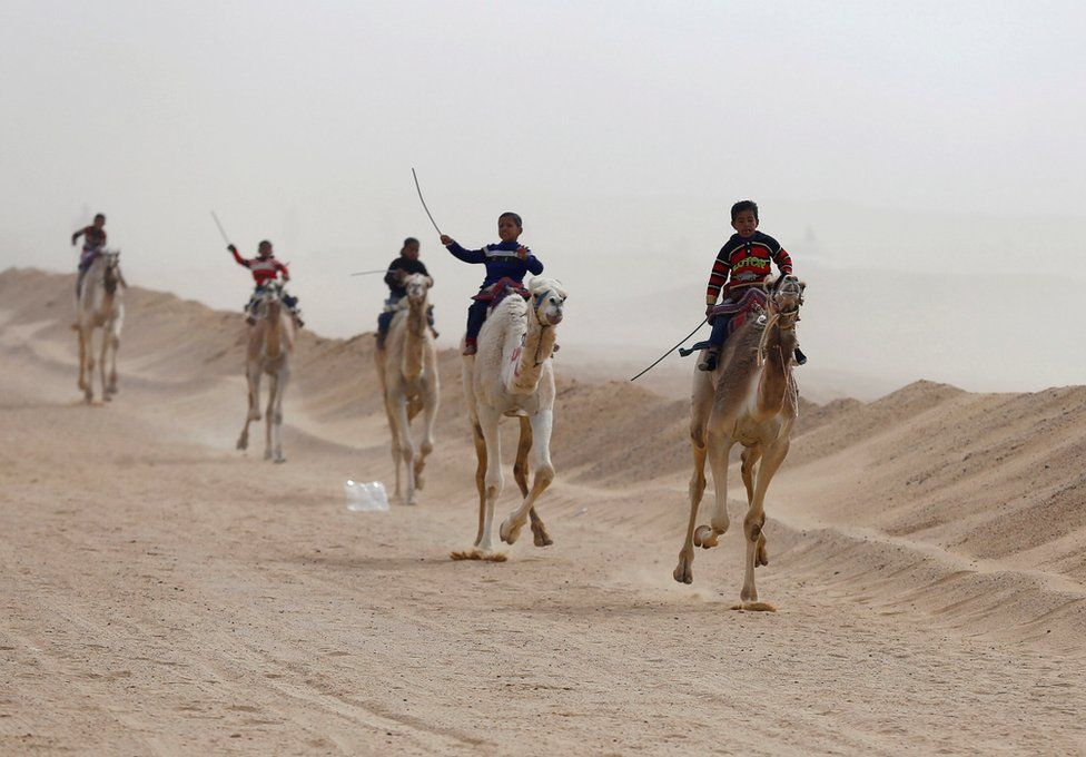 Egyptian children jockeying on their camel mounts during festival at the Sarabium desert in Ismailia, Egypt.