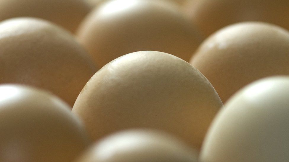 Eggs containing drugs