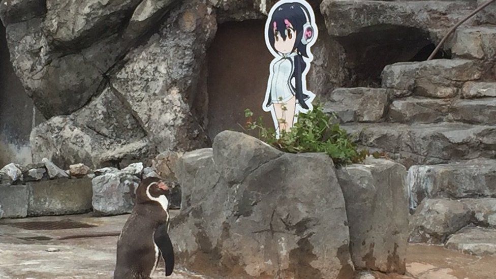 Japanese zoo mourns anime-loving celebrity penguin - BBC News