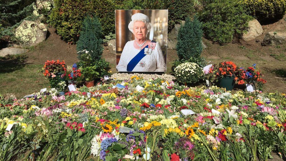 Цветы, оплакивающие королеву в затонувшем саду Гернси