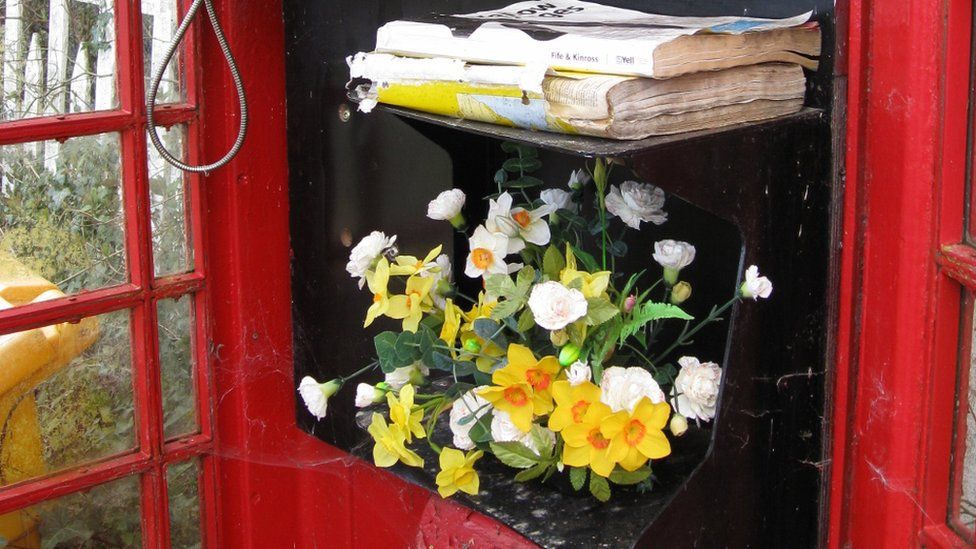 Flowers in a phone box