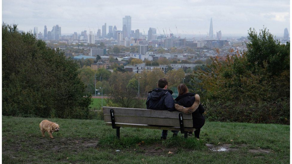 Пара смотрит на Парламентский холм в Лондоне в ноябре 2019 года