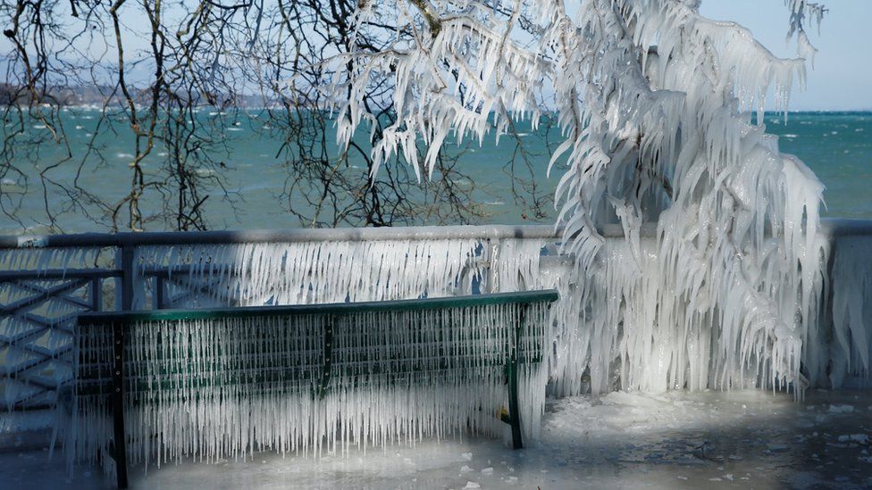Ice is pictured on a barrier and a tree during a windy winter day near Lake Geneva, Switzerland.